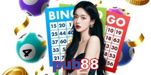 pub88