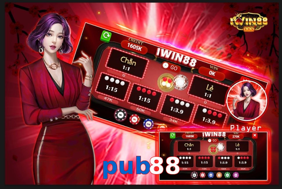 pub88